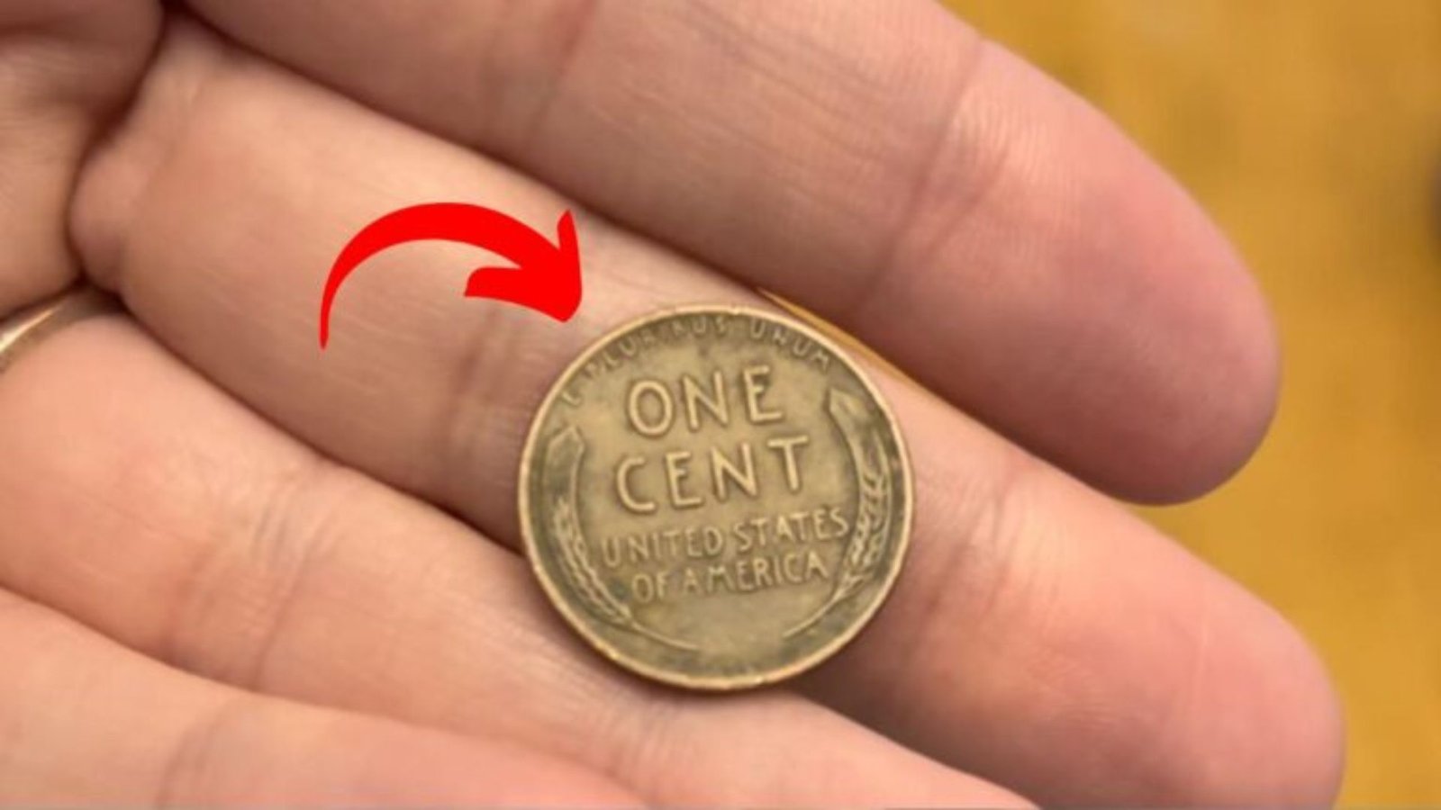 The Lincoln Wheat Penny Worth $500