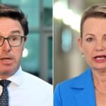 Why Did the Nationals and Liberals Split