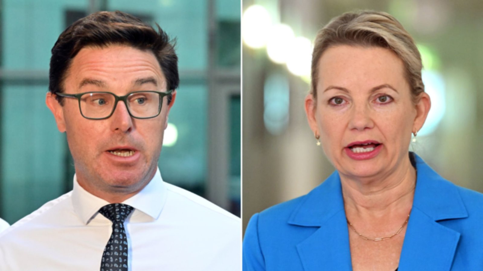 Why Did the Nationals and Liberals Split
